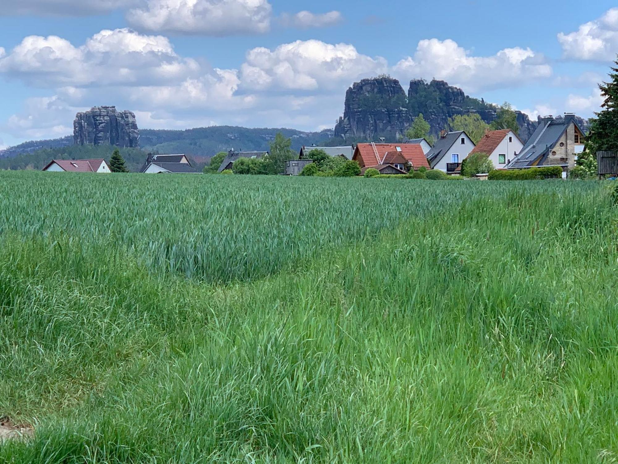 Gasthof Zur Hoffnung Hotel Hinterhermsdorf Eksteriør billede