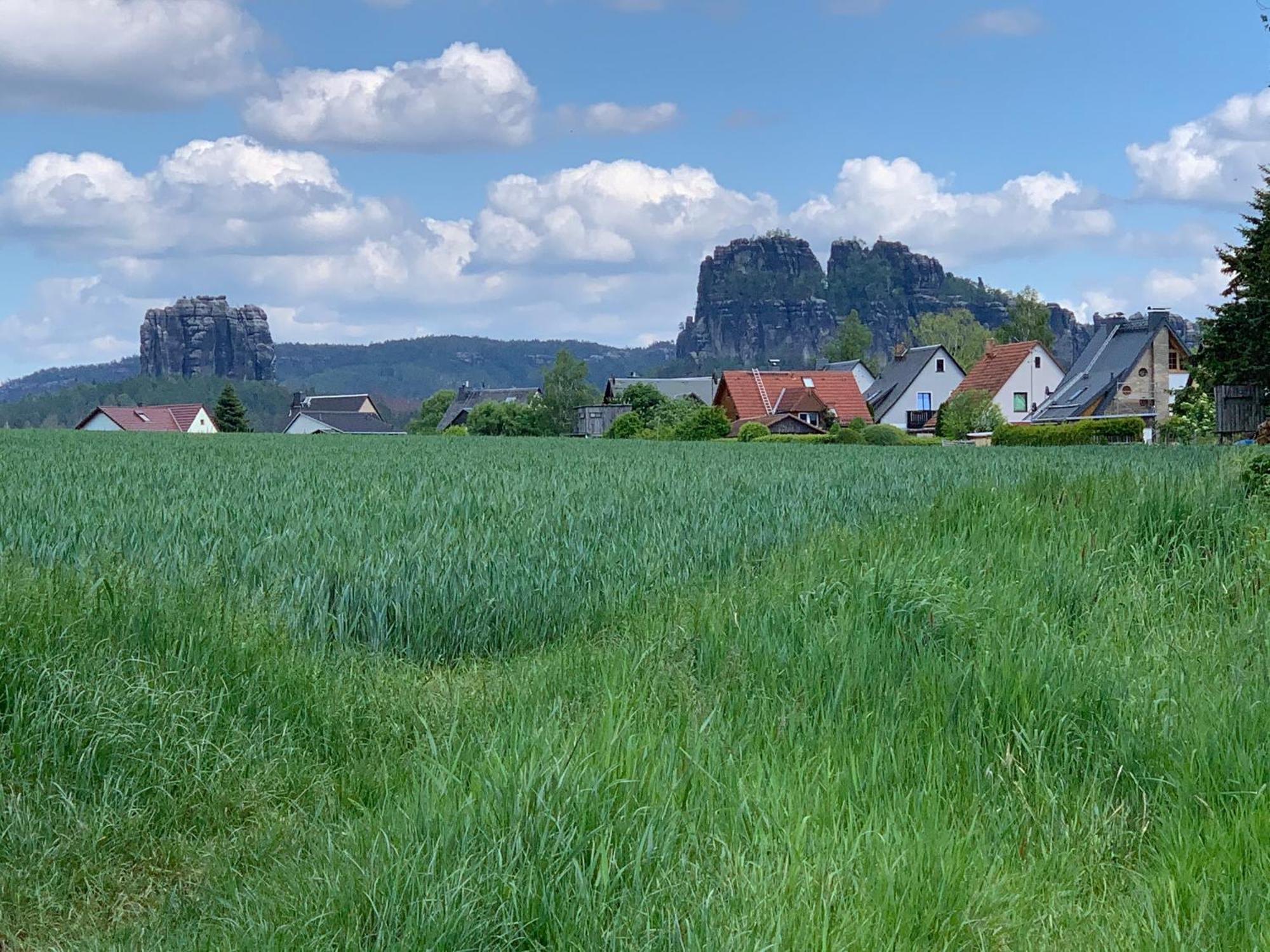 Gasthof Zur Hoffnung Hotel Hinterhermsdorf Eksteriør billede